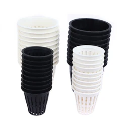 10PCS 2/3 Inch Grow Orchids Hydroponics Cups Planting Mesh Pot Soilless Net Basket Slotted Colonization Container