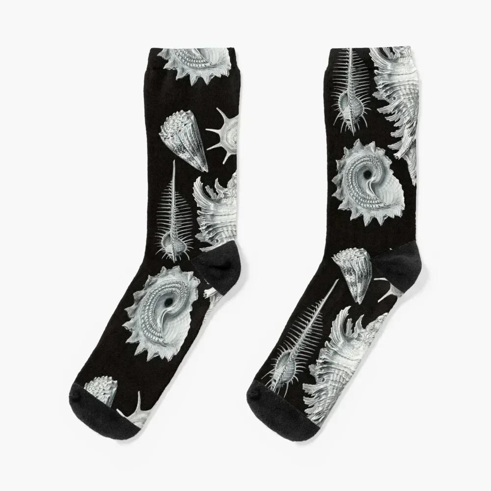 

Ernst Haeckel - Prosobranchia Socks Christmas hiphop aesthetic hockey Girl'S Socks Men's