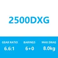 2500DXG