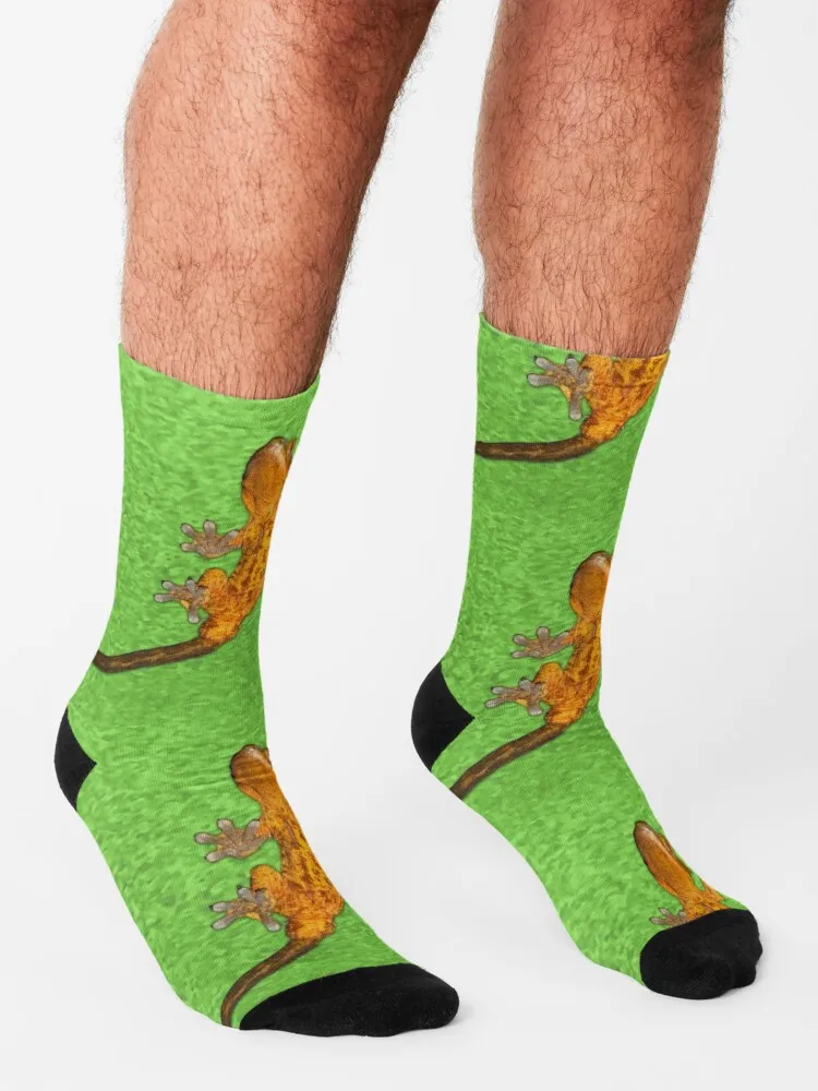 Crested Gecko Socks Cycling Socks