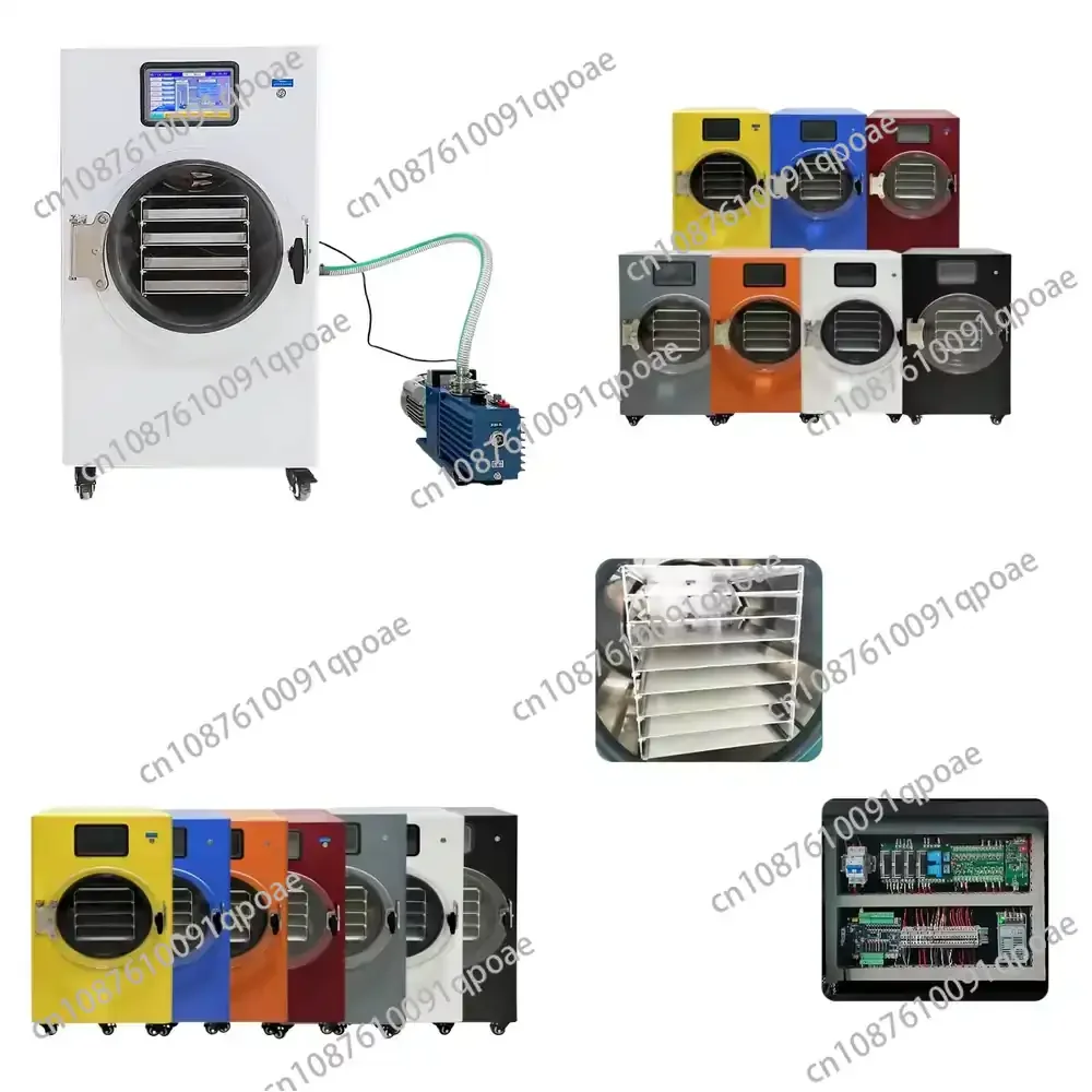 Small Household Lyophilizer Mini Vacuum Freeze Dryer Machine for Food Preservation for Fruits Vegetables Juice for Home Use