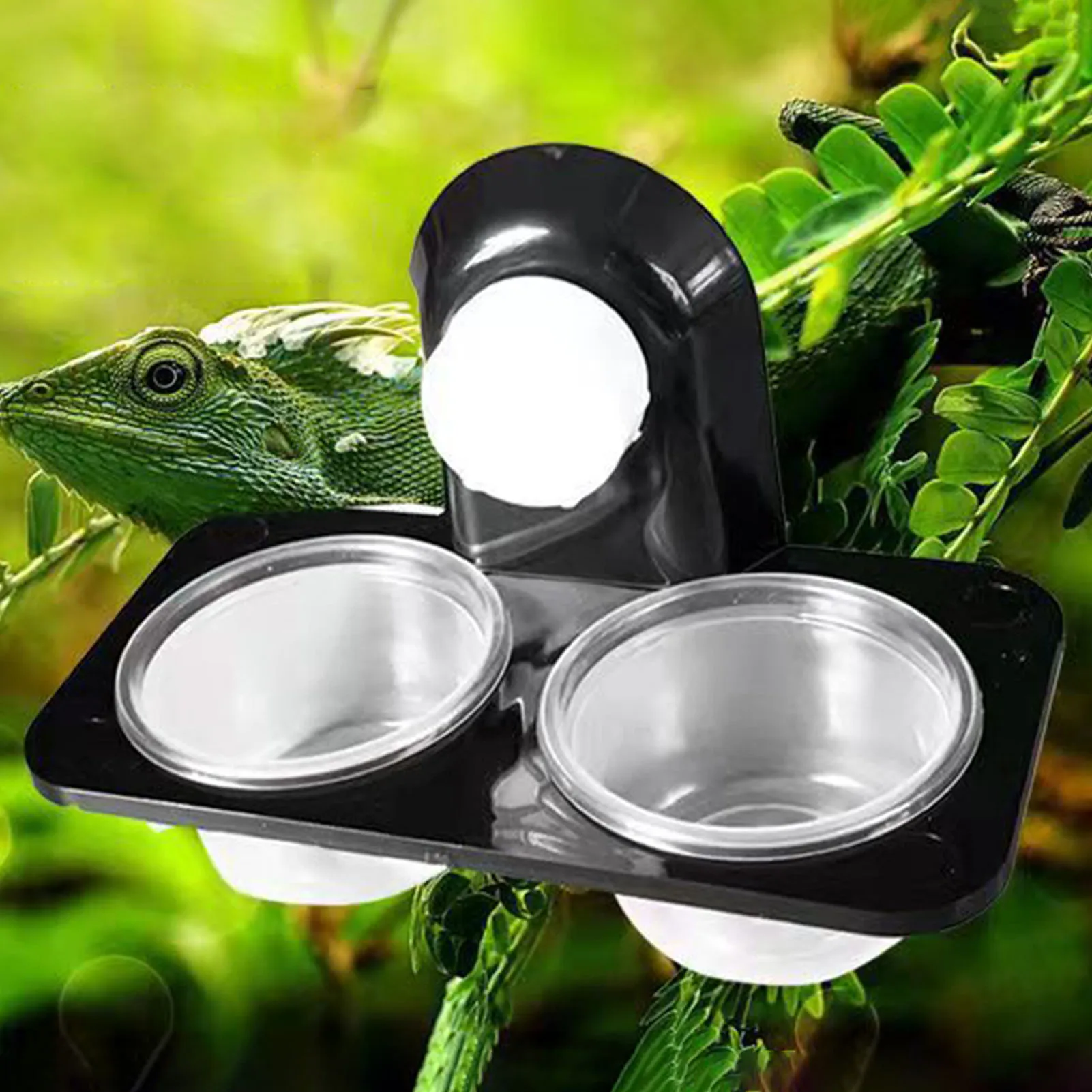 Thumbnail 4 - #21 Compare Reptile Water Bowls Before You Buy