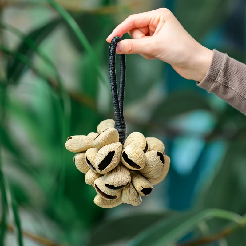 Music Healing Instruments South African Natural Plant Shell Nut Seed Shell Wind Chimes Of Chacha XXL