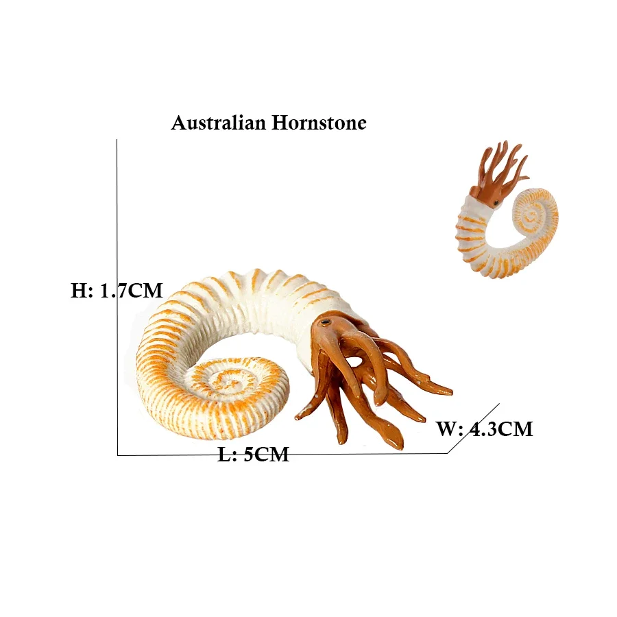 子供のための海洋動物の置物,アクションおもちゃ,カメラカメラ,カメラ,カメラ,プラスチックゲーム,子供へのギフト