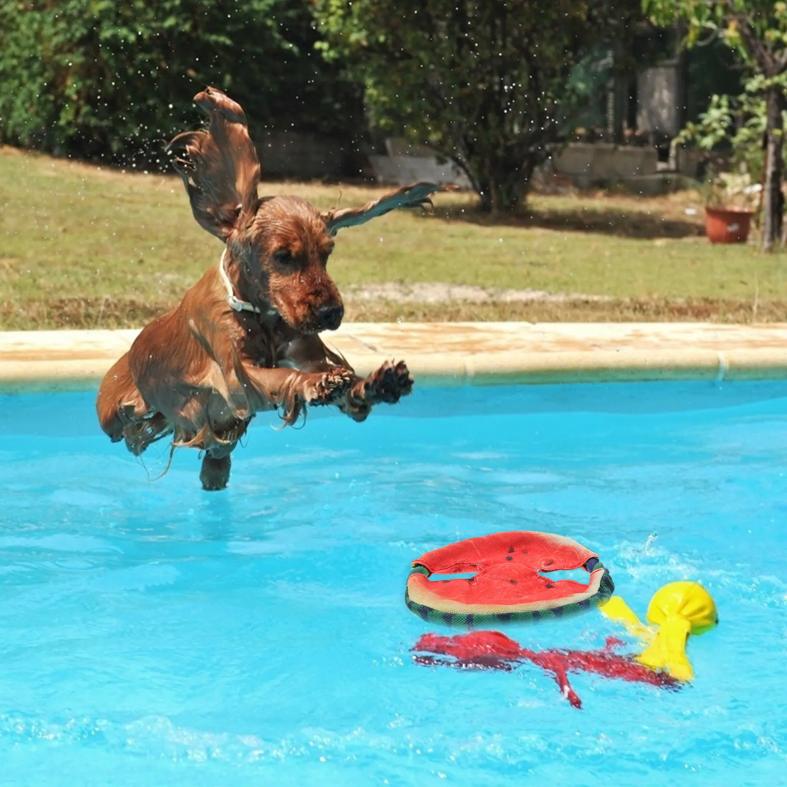 1-unidade-de-disco-voador-em-forma-de-melancia-brinquedo-flutuante-para-animais-de-estimacao-leve-e-portatil-ideal-para-brincar-na-praia-e-para-treino-ao-ar-livre