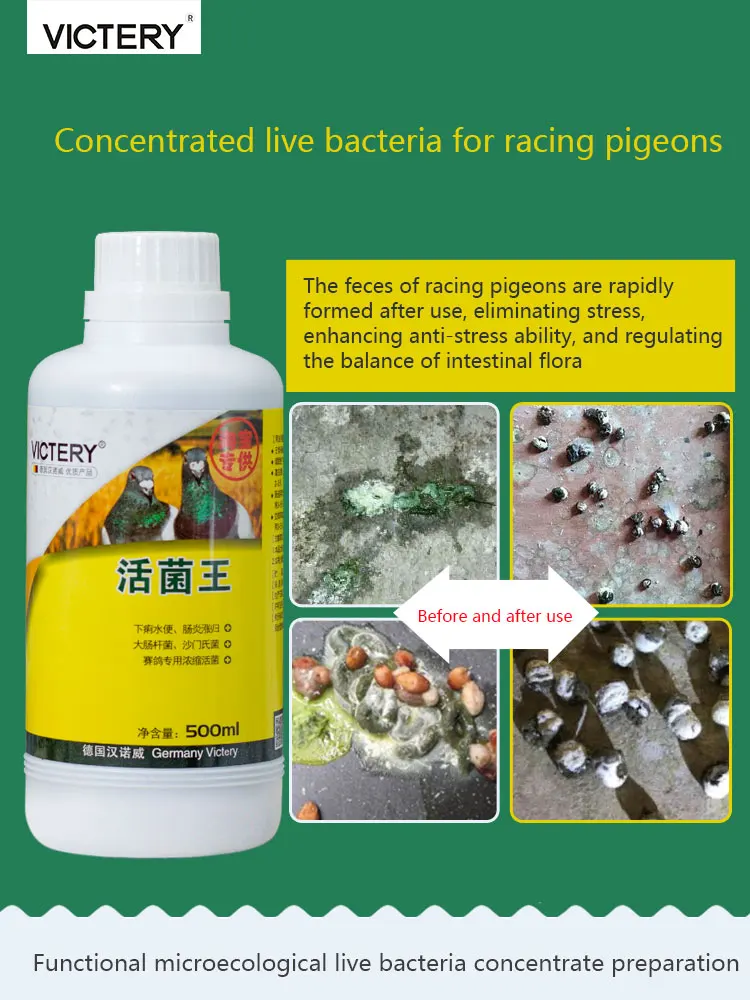 

Pigeon nutritional supplement intestinal probiotics 500ml race carrier pigeon bird parrot water will be green diarrhea diarrhea