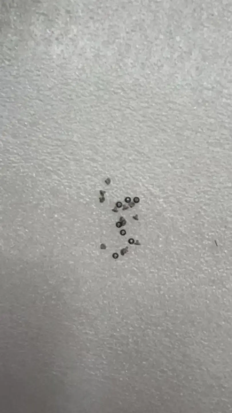 Keyboard Rivet Screw A1706 A1707 A1708 A1989 A1990 A2159 A2251 A2289 A2179 A2337 A2338 for Macbook Pro Retina 13\