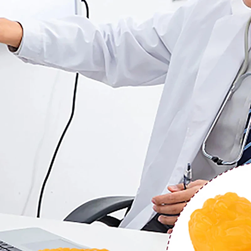 

Fat Replica Fatty Tissue Model Human Body Fat Replica 1lb Human Fatty Tissue Demonstration Model For Nutritionist Science Course