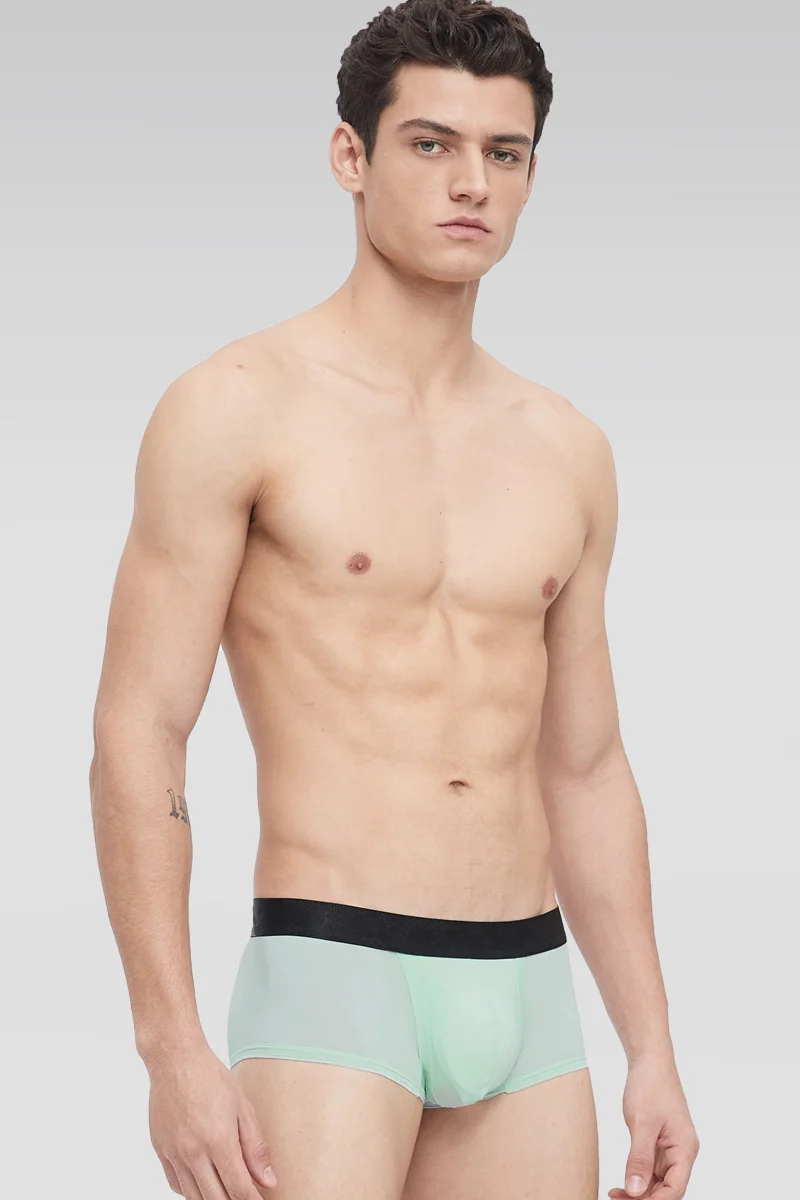 

5PC Spermatic vein panties men's ice silk summer thin men's scrotum support gun bullet type separation varicose boxer shorts