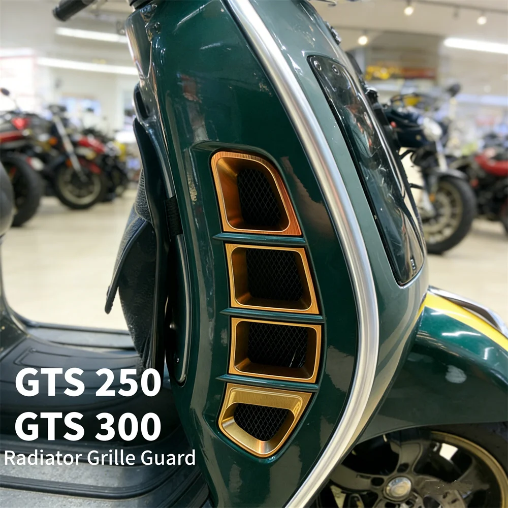 

For VESPA GTS250 GTS 250 GTS 300 GTS300 Motorcycle Radiator Grille Guard Protector Cover Air Inter Grids Protective Cover Grill