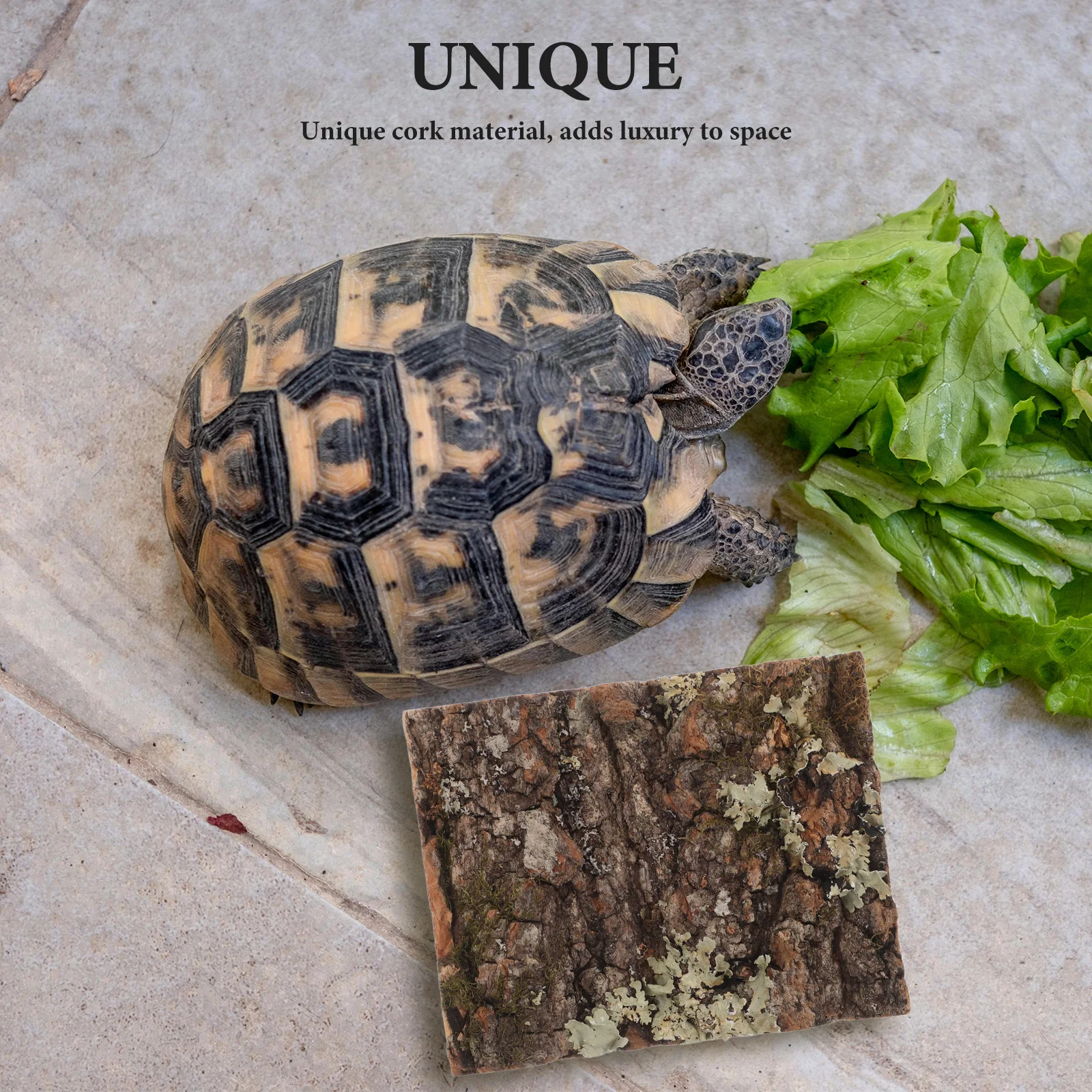 

Cork Bark For Reptile Tank Background -Hue Tree Bark Decor Terrarium Aquarium Wall Decoration Lizard Climbing Surface