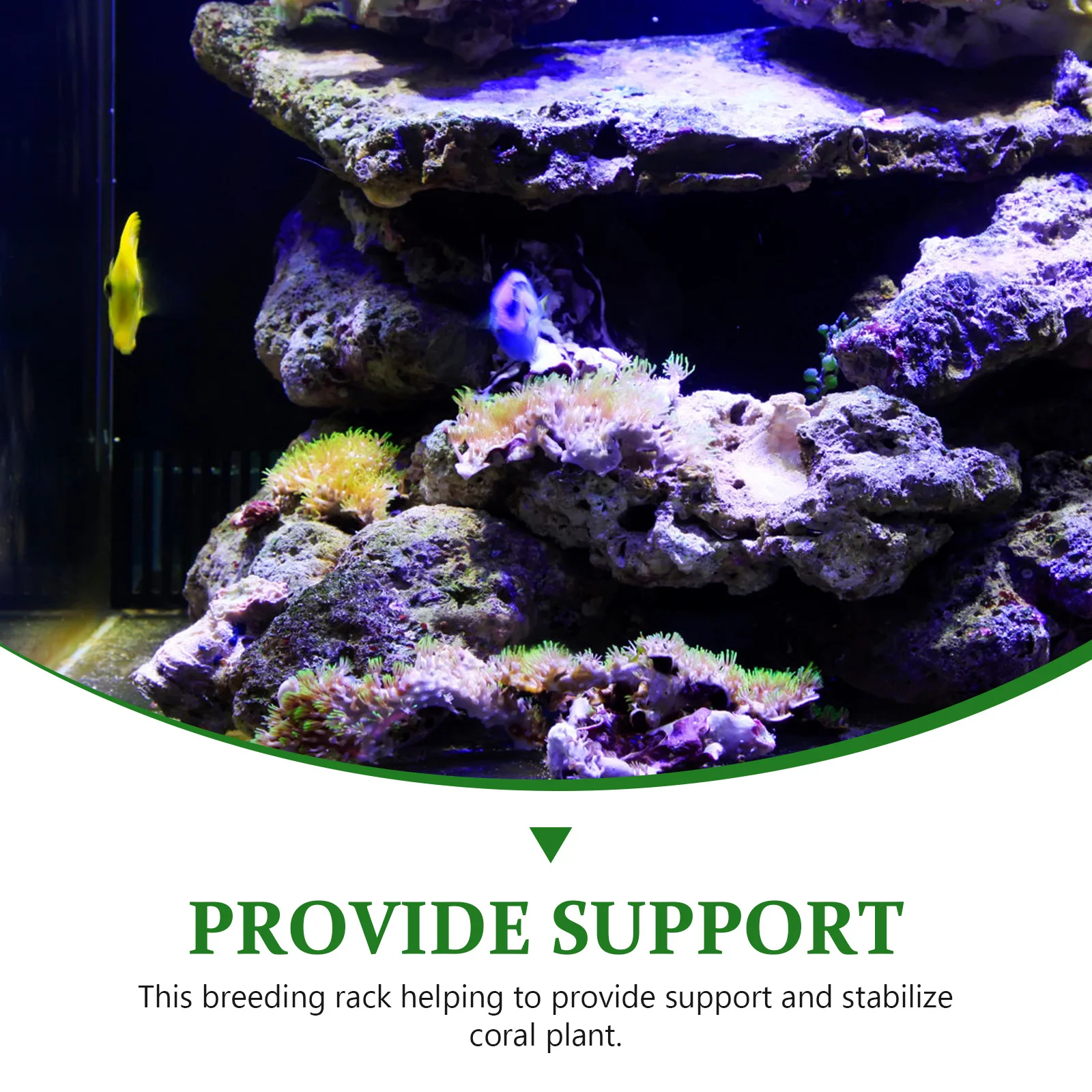 

Double Layer Fluorescent Green Coral Frag Holder Premium Acrylic Aquarium Plant Support Rack for Coral Cultivation and Fish Tank