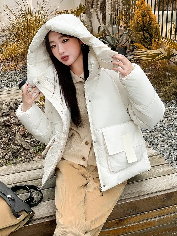 New Short Winter Jacket Women Warm Hooded Down Cotton Parkas Female Casual Loose Outwear Korean Cotton-padded Coat Clothes