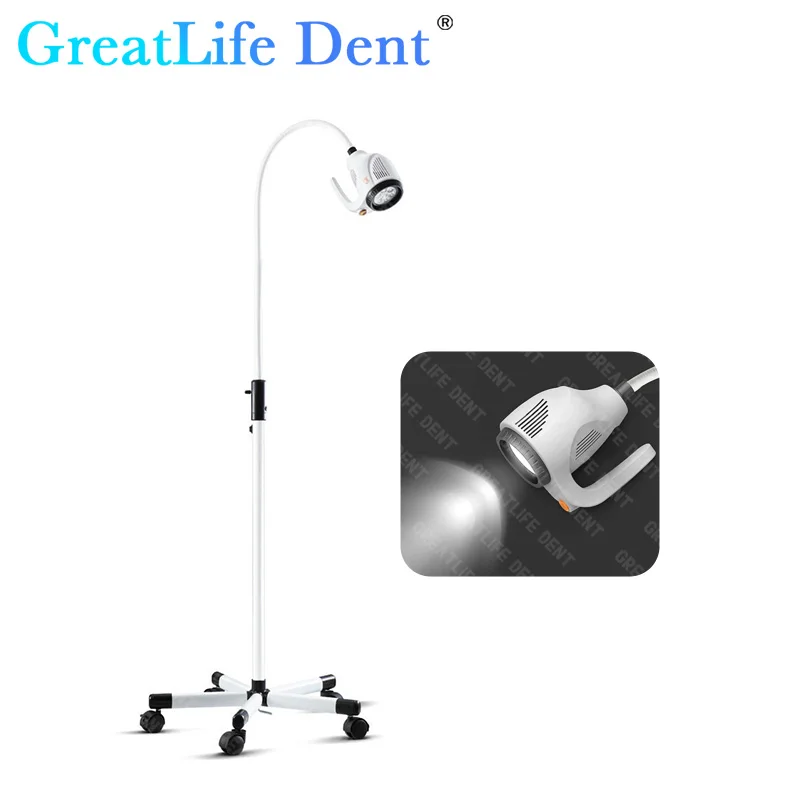 GreatLife Dent 21w 7 Leds 50000 Lifetime Cold Shadowless Operation Lamp Moveable Floor Stand Dental Veterinary Examination Light