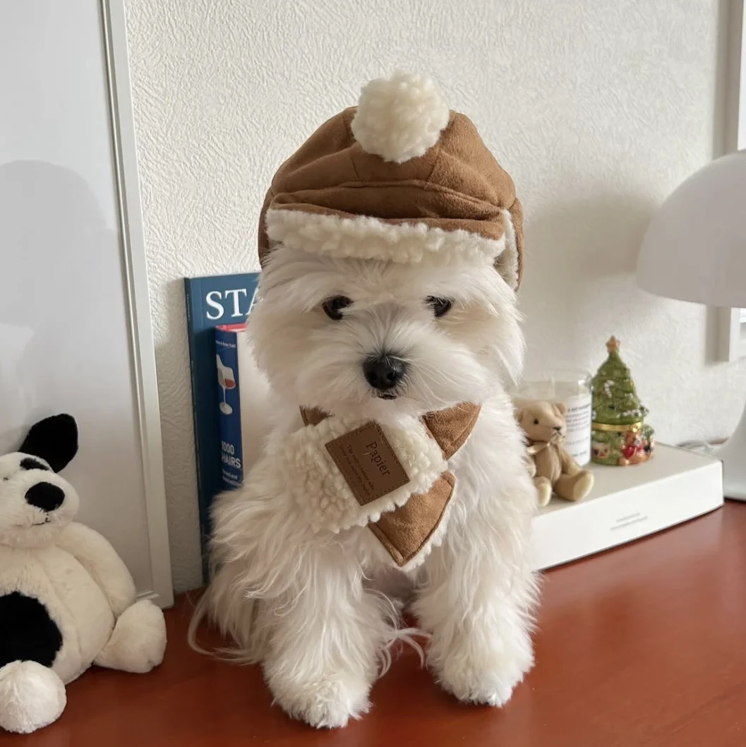 

Environmentally Friendly Leather Faux Deer Skin Winter Pet Hat Scarf Suit For Small Dogs - Winter Outfit For Pets