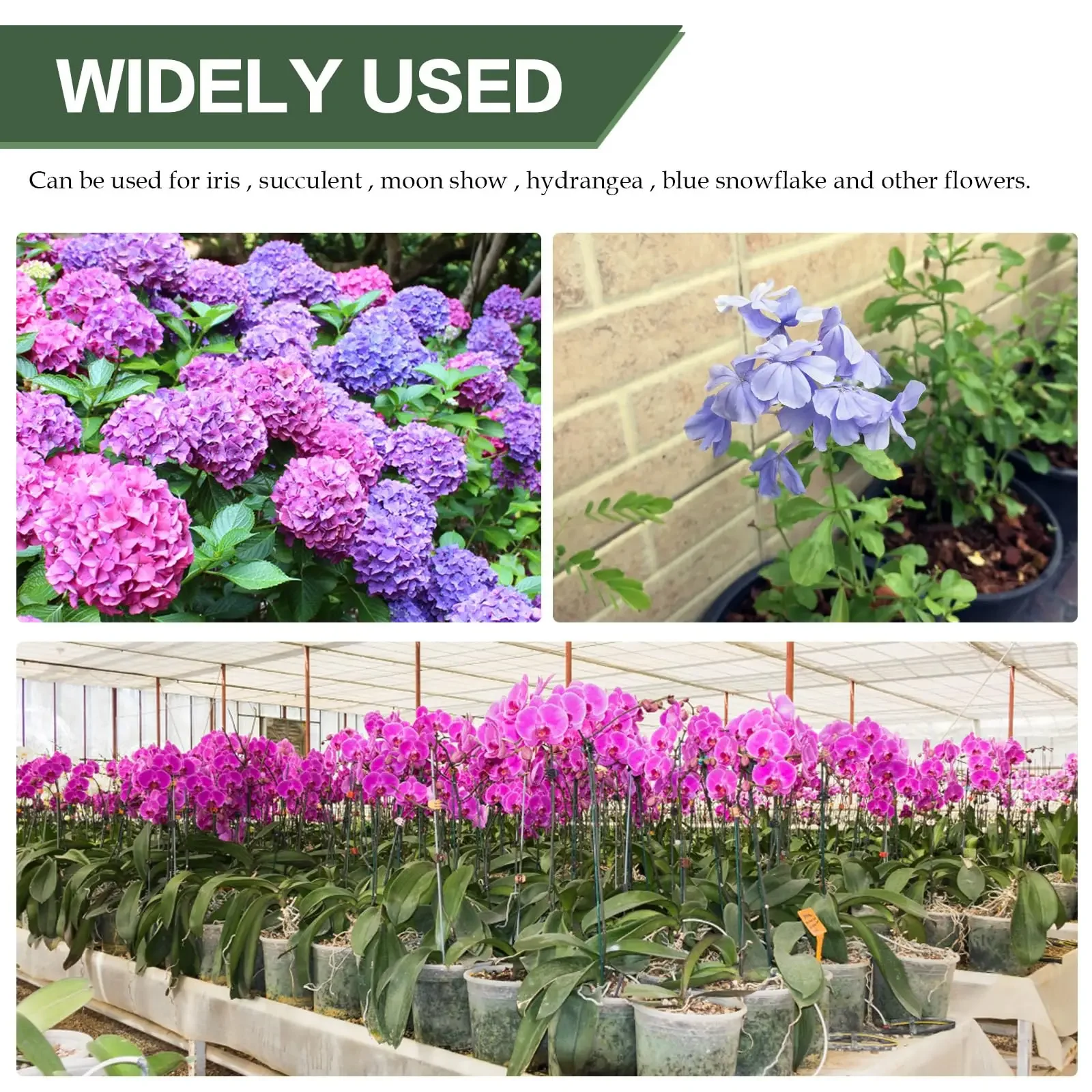 5/10PCS Anlage Unterstützt Stehen Schmetterlinge Orchidee Blume Topf Befestigungs Stangen Wiederverwendbare Gemüse Schutz Befestigungs Werkzeug Gartenarbeit Su – Detail 6