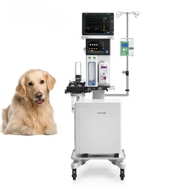 

Mindray Anesthe Veta 5 Vet Machine with Touch Screen