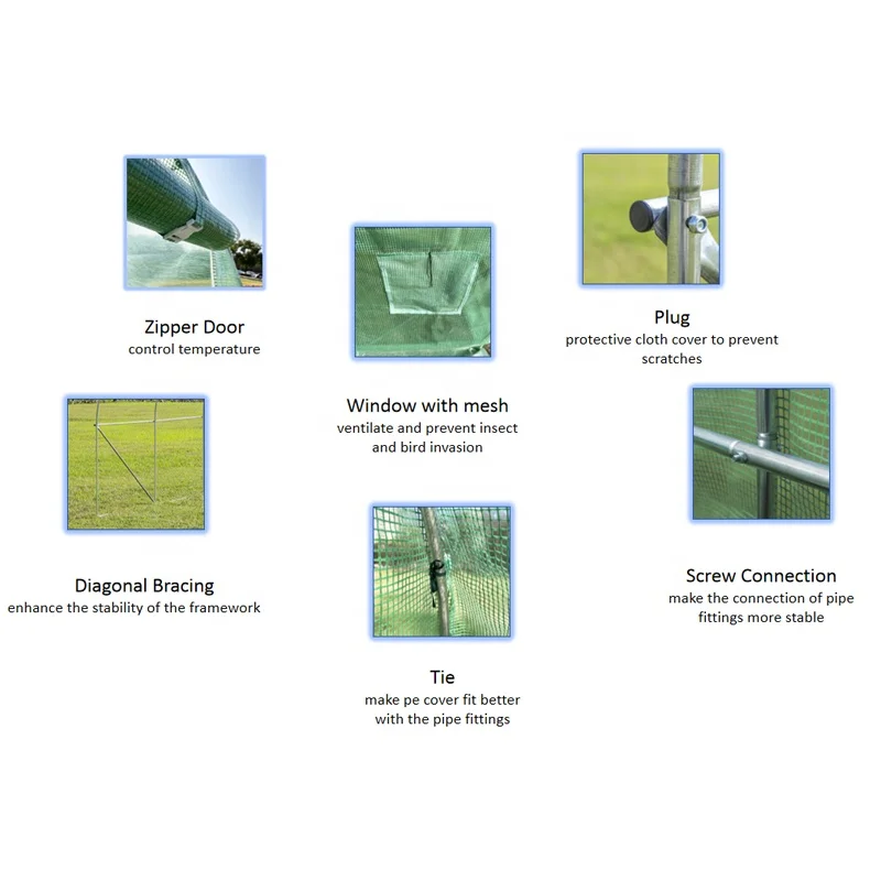 20256x3x2m 온실 키트 조립하기 쉬운 금속 프레임 농업용 비닐 커버 재배에 편리한 폴리 터널