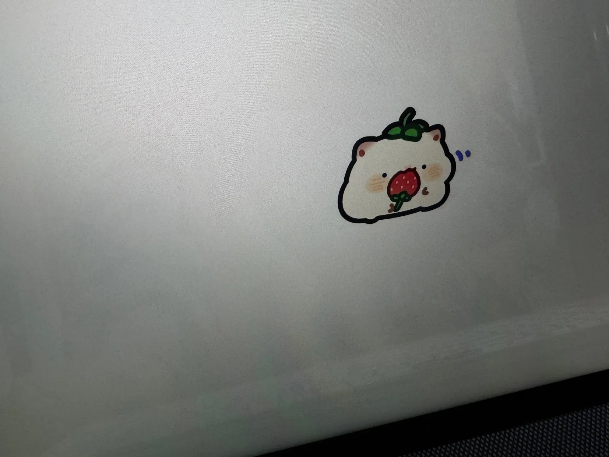 실물 포토 리뷰