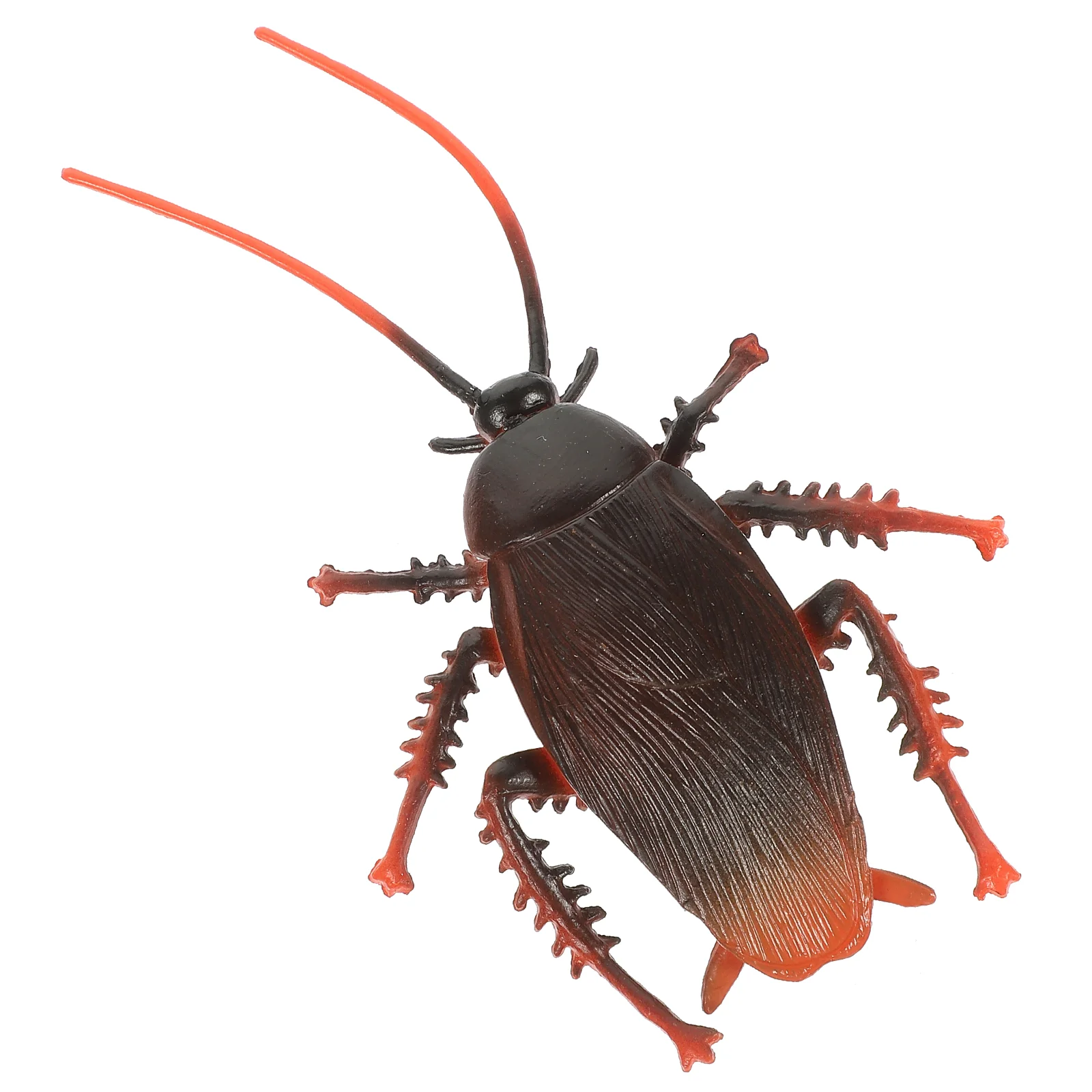 

Model Simulated Wild Insect Prank ( Cockroach Model) Child Funny Party Worm Plastic Vivid