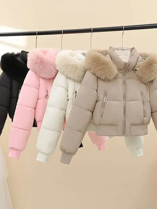 

Новая женская хлопковая куртка 2025 года для осени и зимы с меховым капюшоном, сохраняющая тепло, стандартной длины, весенняя