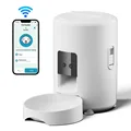 White WiFi Model