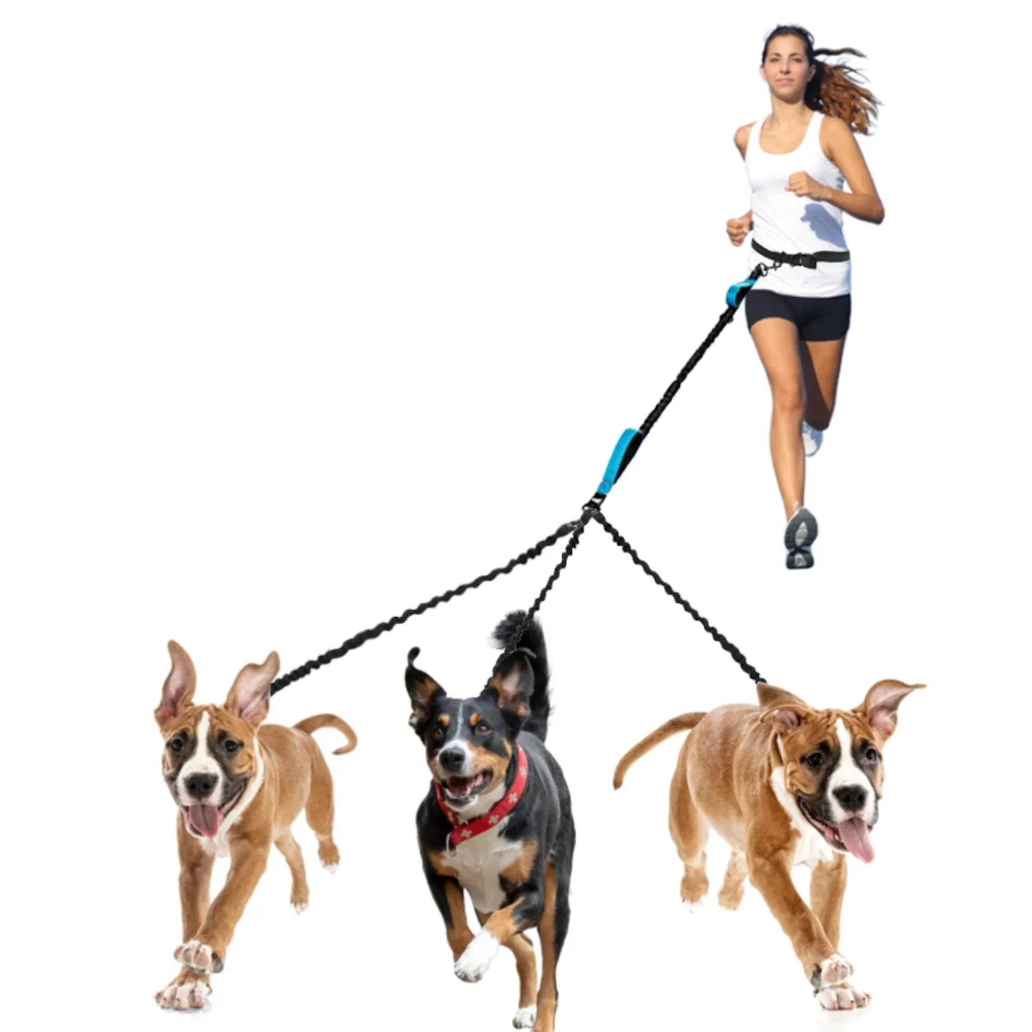 

-have accessory for dog owners who love to run with their furry friends!