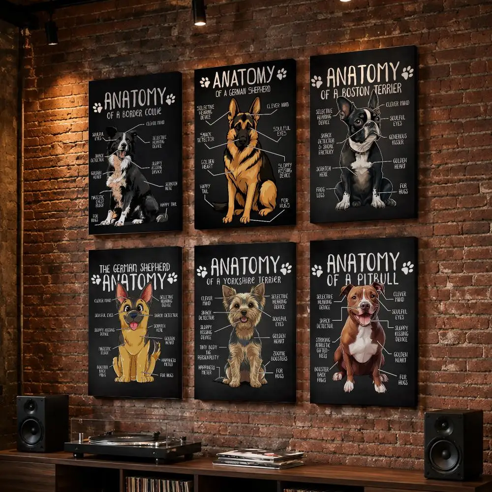 Anatomy Of Animal DOG Framed Wall Painting Wood Framed Wall Art Print For Bedroom Living Room Hallway Office Home Decor