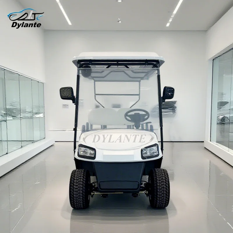Small 2 4 6 Seater Mini Golf Cart Club Customized Cheap Electric Scooter Off-road Hunting Car for Club Golf Course Hotel School