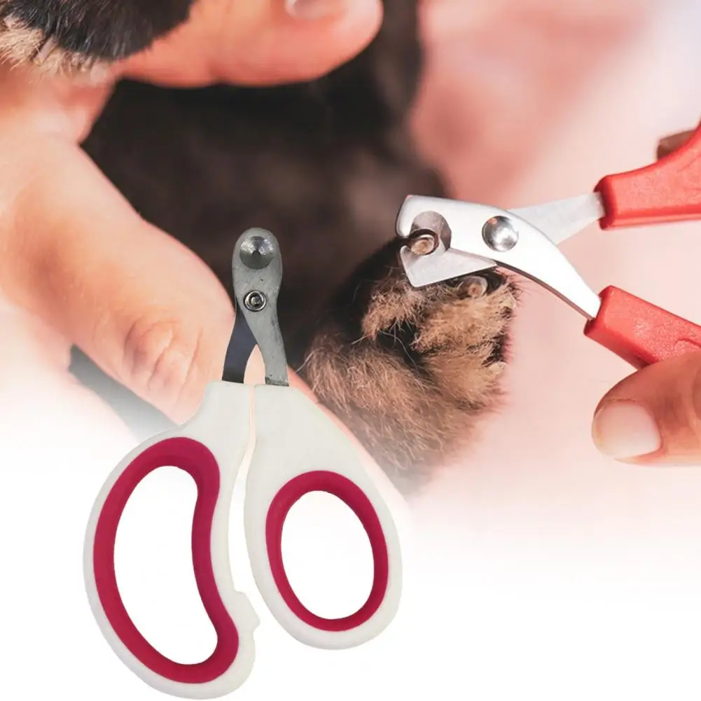 Pet Nail Clippers Professional Gentle Precise Trimming Safe Lock Ergonomic Design Comfortable Grip For Small Animals