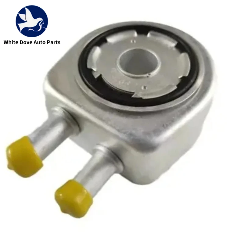 : Radiatori e tubazioni dell'olio