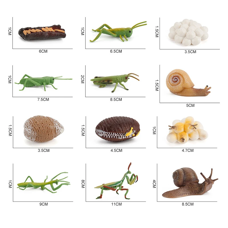 Snail Toy Growth Cycle Action Figure Animal Model Life Cycle Collectible Figurines Educational Toys Plastic Children Animals Set