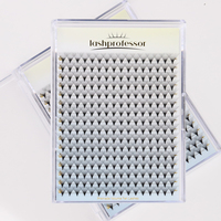 Lashprofessor 30D Premade Volume Fan 5D 6D 8D 10D 12D Individual Eyelash Thin Pointy Base Premade Russian Volume Lash Extensions
