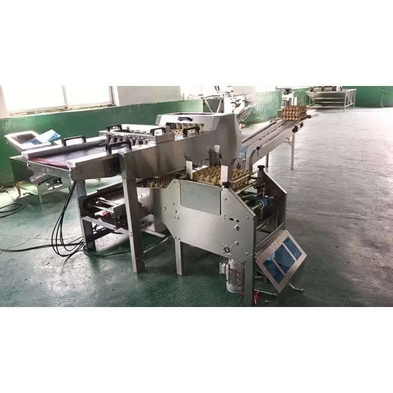 2025 مصنع بيع آلة تعبئة مزرعة البيض آلة صينية البيض الأوتوماتيكية بالكامل آلة تعبئة مزرعة البيض