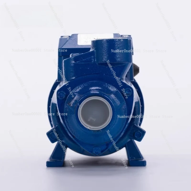 QB60 Bronze Booster Pump 1 Inch High Lift Water Pump for Boiler 110V 220V