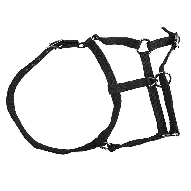 Dupla camada acolchoada cavalo Halter, prático engrossar alça ajustável, durável acessórios de proteção, novo