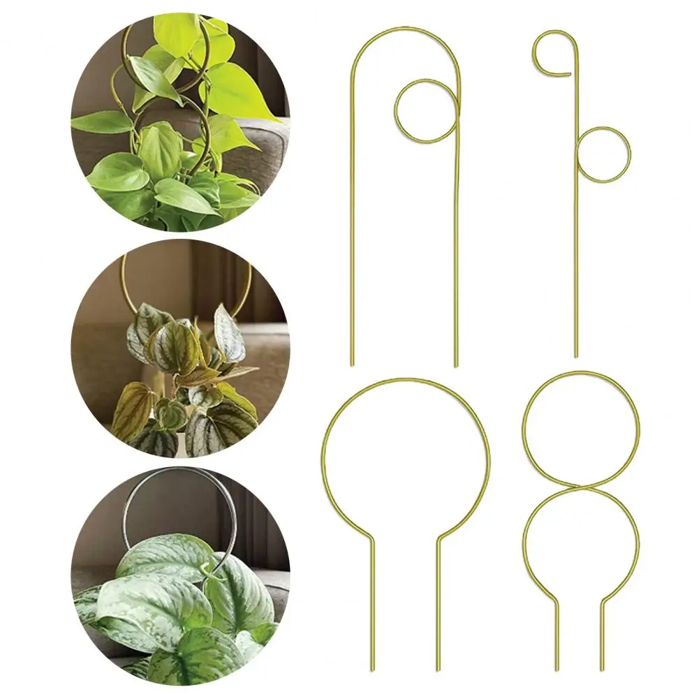 4Pcs Durable Plant Trellis Metal Flower Support Stake Sturdy Balcony Bonsai Small Climbing Plants Plant Trellis  Decorative