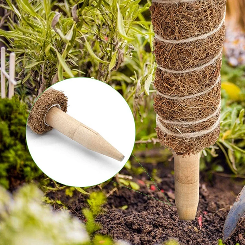 30/40/50cm Plant Climbing Rod Climbing Vine Coconut Palm Rod Diy Reusable Stick Plant Support Moss Palm Vines Stick Extension