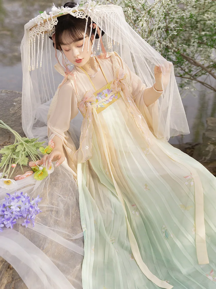 Costume cinese antico fata Hanfu abito donna elegante ricamo cinese tradizionale Tang abito ragazza principessa Costume primavera