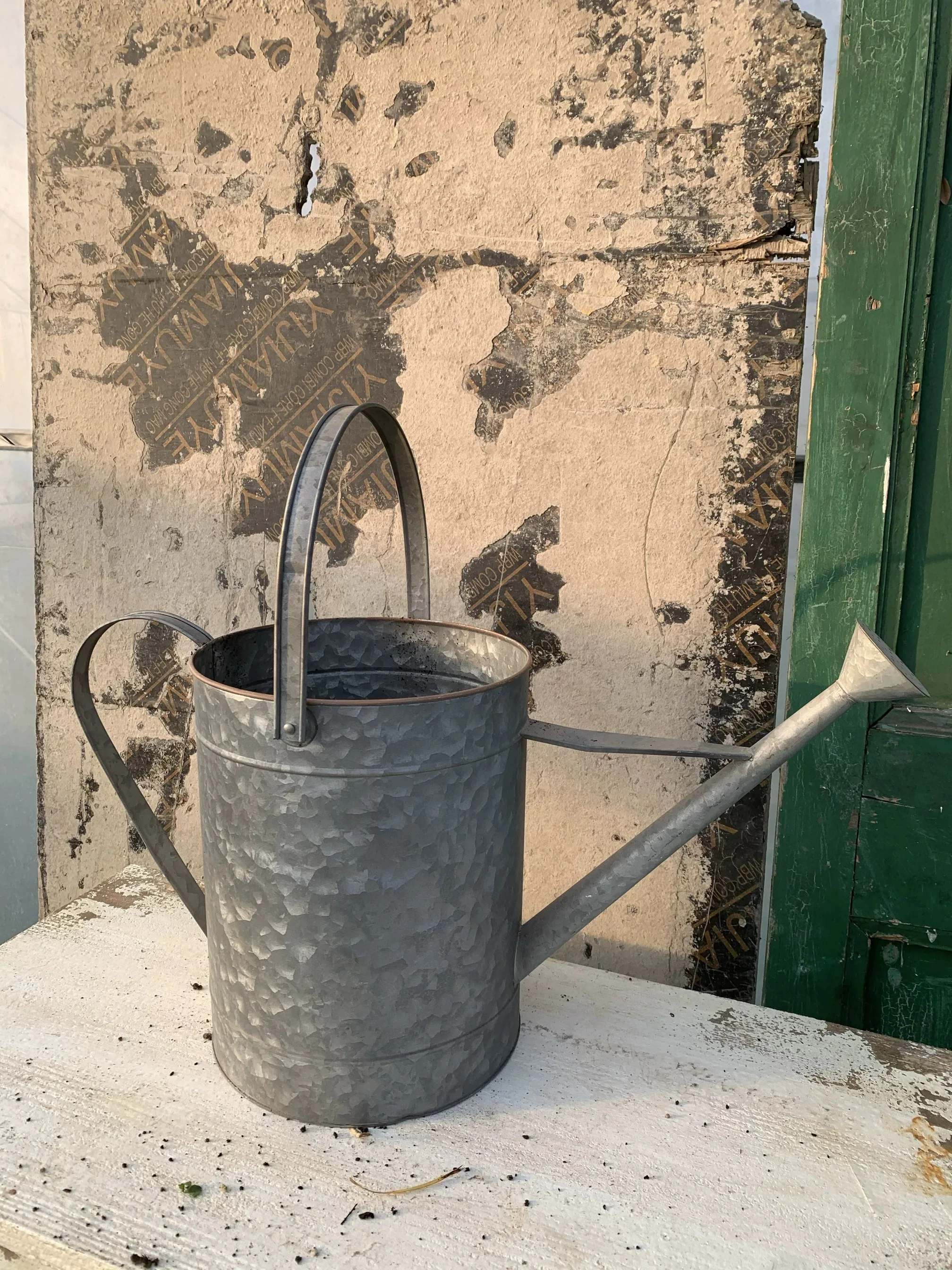 Galvanized Metal Watering Can, Vintage Style, Hammered Finish, Sprinkler Head, 9.8 x 11.8 Inch