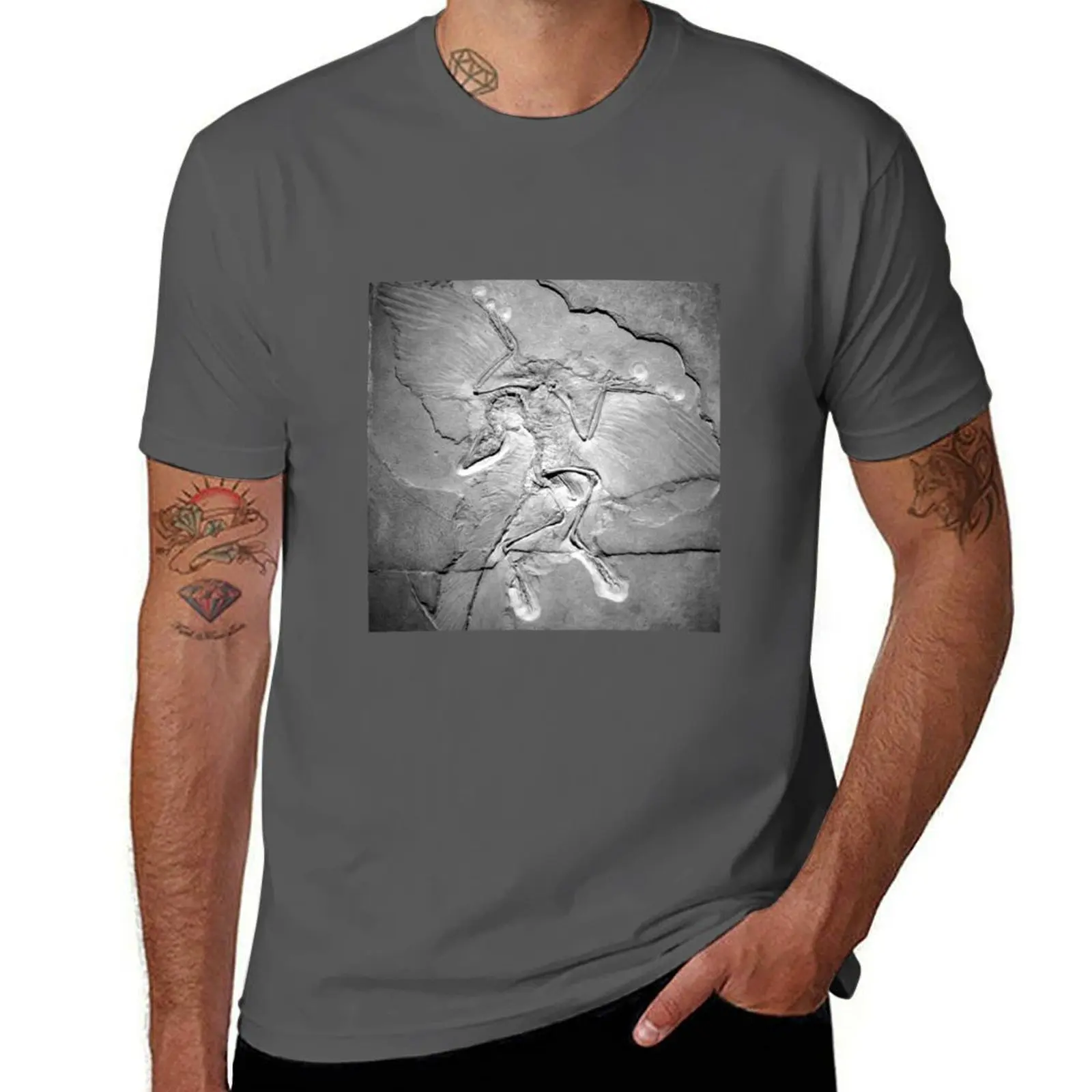 Archaeopteryx fossil Berlin specimen feathered dinosaur paleontologist gift T-Shirt anime t shirts Men's t-shirts