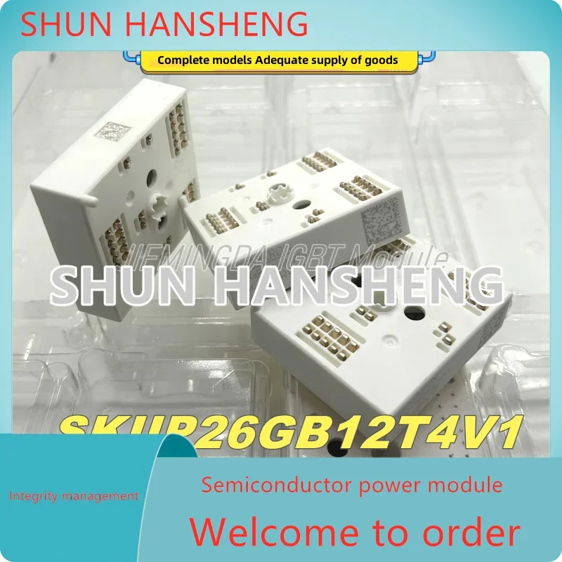 

SKIIP25NEB066V1 SKIIP25NAB066V1 SKIIP26GB12T4V1 SKIIP38GB12E4V1 SKIIP39GB12E4V1 SKIIP39ANB16V1 SKIIP39AHB16V1 SKIIP39GA12T4V1