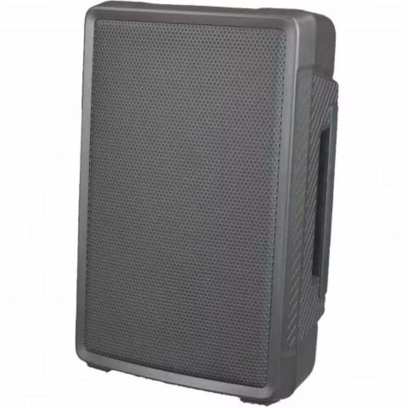 

New 12-inch Portable Active Bluetooth Speaker