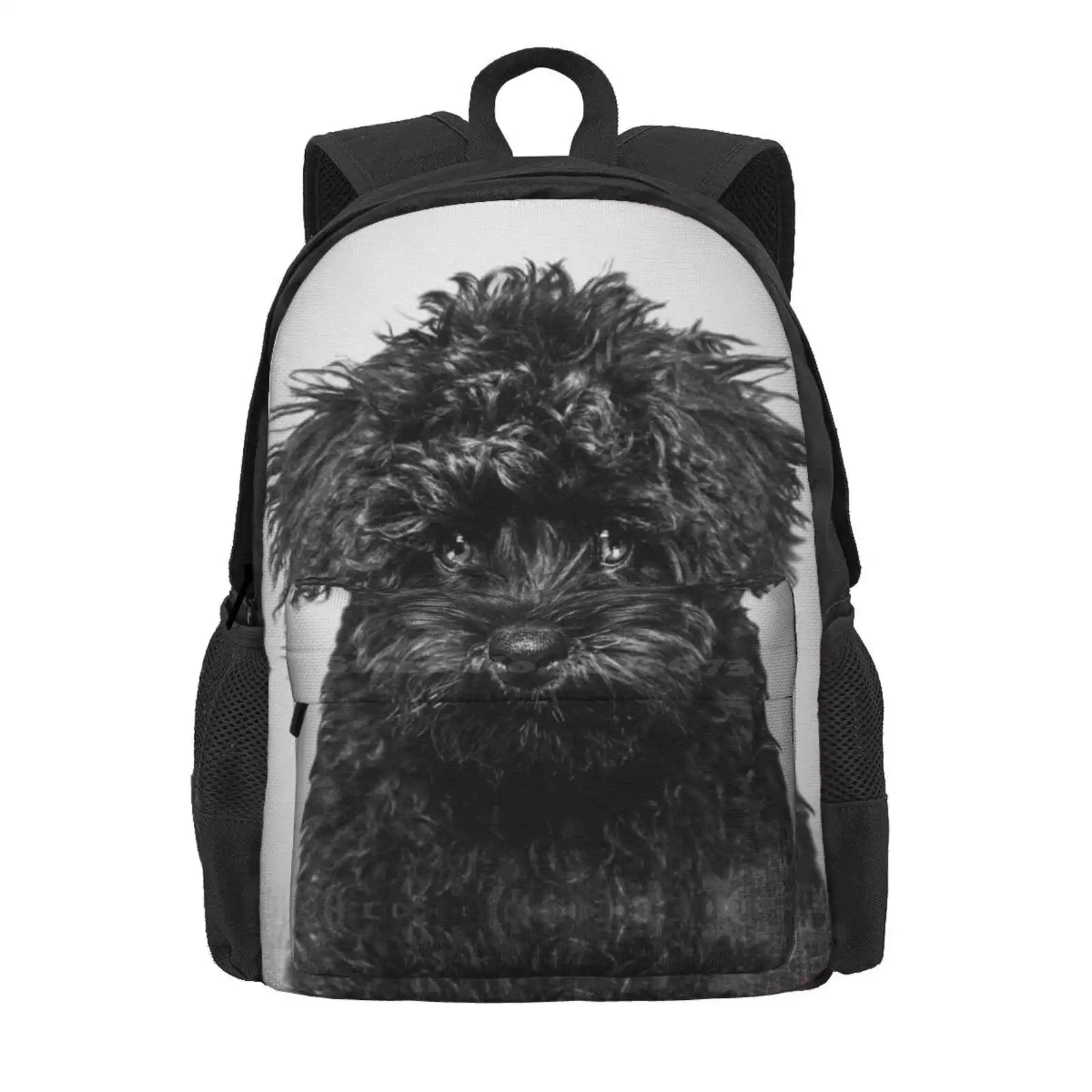 Toy Poodle Dog - Bw Vintage - D86 Hot Sale Schoolbag Backpack Fashion Bags Toy Poodle Dog Toy Poodle Portrait Black And White