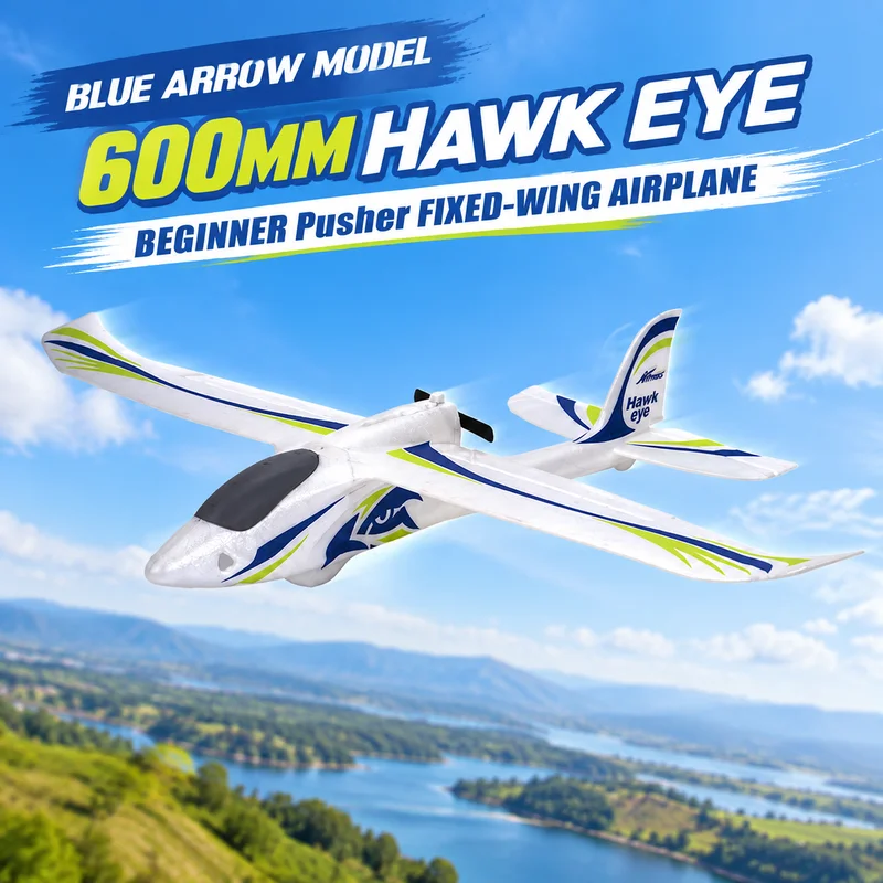 Blue Arrow RC Model 600mm Eagle Eye Beginner Back-Propulsion Entry Fixed-Wing Remote-Control Electric Model for Beginners