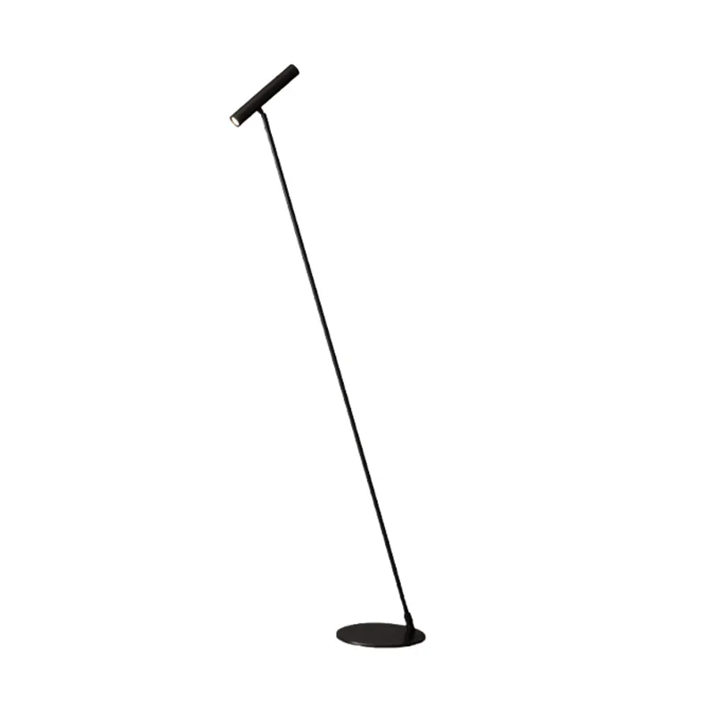 Modern Simple Design Long Arm Floor Lamp Art Decoration Lighting Besides Sofa Indoor Floor Lighting Creative Reading Lamp