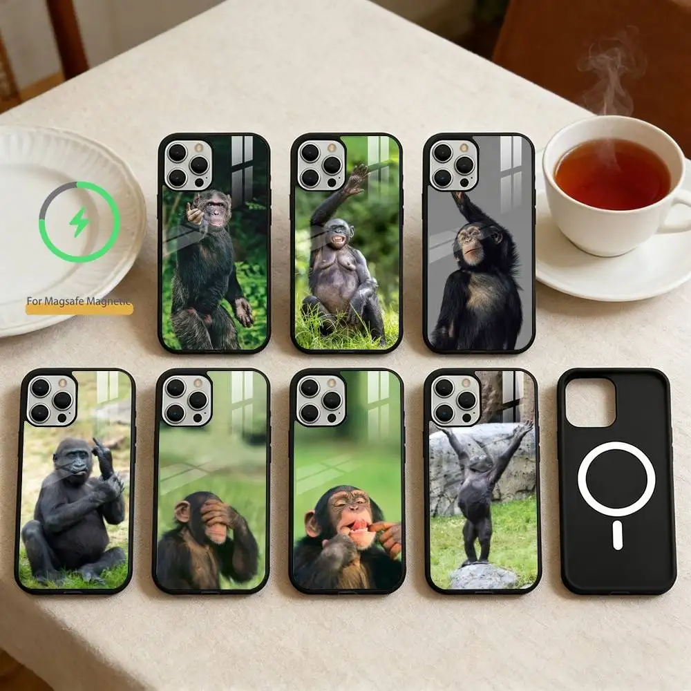 

Monkey Gorilla Orangutan Funny Phone Case For iPhone 17,16,15,14,13,Pro,Max,Plus,Magnetic For Magsafe Wireless Charging