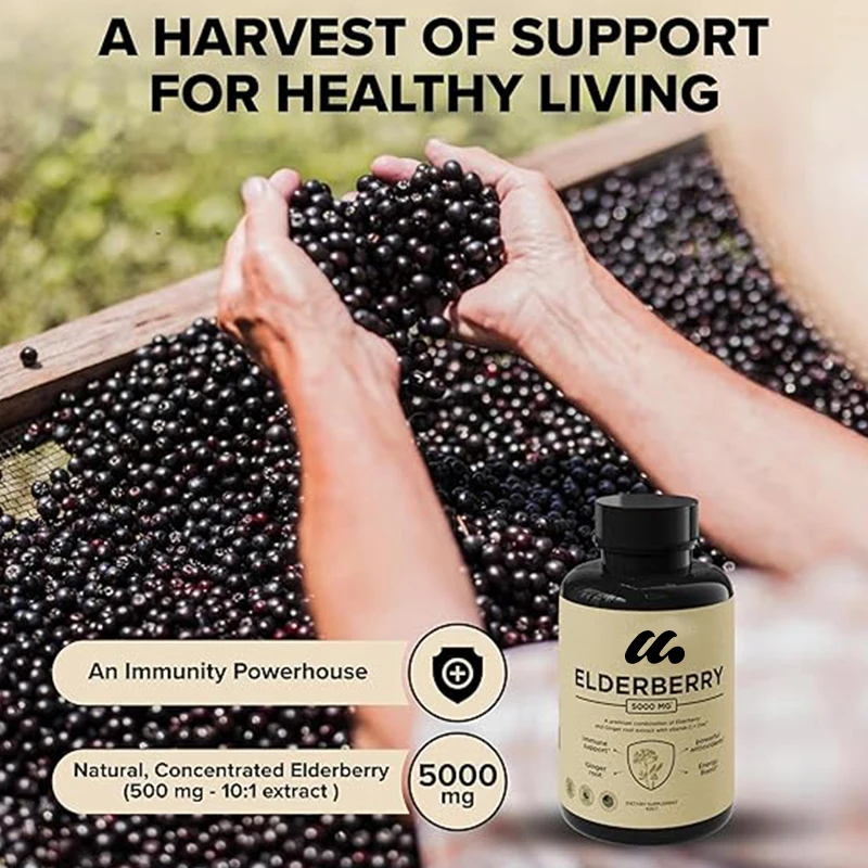 Elderberry gummies contain Vitamin C, Zinc, and Ginger - Strong Immunity - Adult Non GMO Immune Vitamins