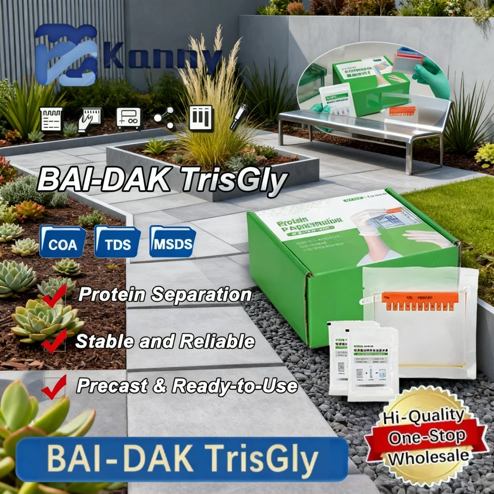 Bai-dak Trisgly Protein Precast Gel Page Polyacrylamide Gel For Western Blot Electrophoresis And Protein Analysis Laboratory Use