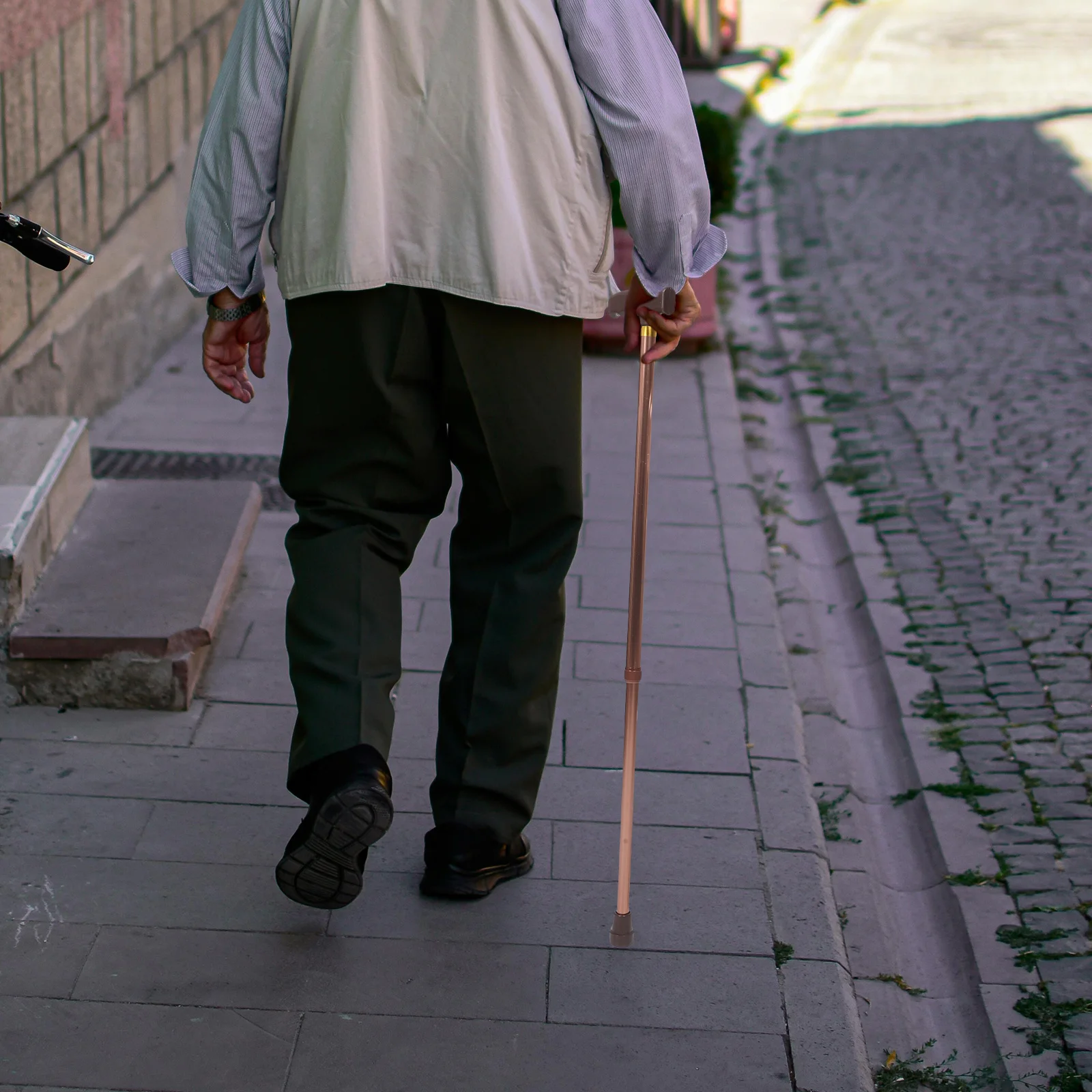 

Two-Section Adjustable Telescopic Walking Cane Lightweight Aluminum Alloy Collapsible Stability Support for Seniors Men Women